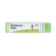 sambucus nigra*5ch 80gr 4g
