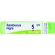 sambucus nigra*5ch 80gr 4g