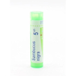 bo.sambucus nigra*5ch 80gr 4g