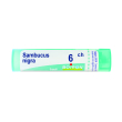 sambucus nigra 6ch granuli multidose boiron