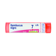 sambucus nigra 7ch granuli multidose boiron