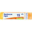 bo.sambucus nigra*15ch 80gr 4g