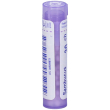 bo.sambucus nigra*30ch 80gr 4g
