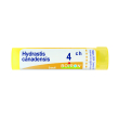 hydrastis canadensis 4ch granuli multidose boiron