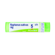 raphanus sativus niger*5ch