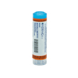 phosphorus*9ch 80gr 4g