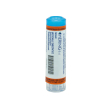 phosphorus 30ch 80gr 4g