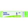 boiron bellis perennis 5ch