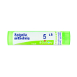 spigelia anthelmia 5ch granuli multidose boiron