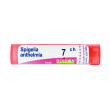 spigelia anthelmia7ch 80gr 4g