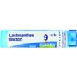 bo.lachnanthes tinct*9ch 80gr
