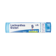 lachnanthes tinctoria*9ch 80gr 4 g granuli
