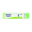boiron berberis vulg 5ch gr 4g