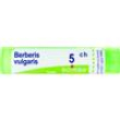 boiron berberis vulgaris 5ch 80gr 4g