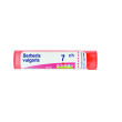 bo.berberis vulg*7ch 80gr 4g