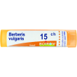 berberis vulgaris 15 ch 80 gr 4 g