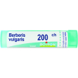 bo.berberis vulg*200ch 80gr4g