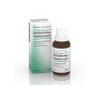 belladonna homaccord*gtt 30ml