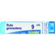ruta graveolens*9ch 80gr 4g
