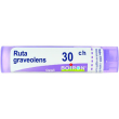 bo.ruta graveolens*30ch 80gr 4