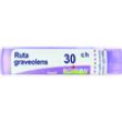 ruta grav*30ch tubo 80gr 4g bo