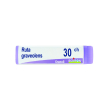 ruta graveolens*30ch gl 1g