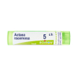 boiron® actaea racemosa granuli 5 ch contenitore multidose 4 g