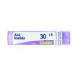 asa foetida tubo 30ch