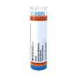 nux vomica 7ch 80gr 4g
