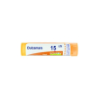 bo.dulcamara*15ch 80gr 4g