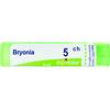 bryonia tubo   5ch