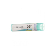 bryonia 6ch 80gr 4g