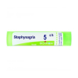 boiron staphysagria 5ch gr 4g