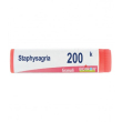 staphysagria multidose 200k