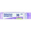 gelsemium sempervirens*30ch bo