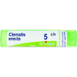 boiron clematis erec 5ch gr 4g