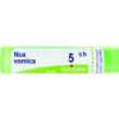 bo.nux vomica*tubo  5ch