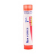 boiron nux vomica 7ch gr 4g