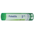 bo.pulsatilla*5ch 80gr 4g