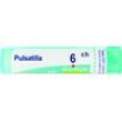 pulsatilla tubo   6ch
