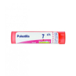 bo.pulsatilla*7ch 80gr 4g