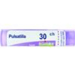 bo.pulsatilla tubo*30ch