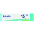 pulsatilla dose 15ch