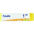 bo.pulsatilla*1000k gl 1g