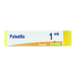 pulsatilla dose -mk