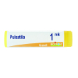 pulsatilla 1000k gl 1g