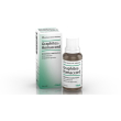 graphites homaccord gtt 30ml