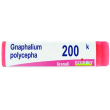 semi gnaphalium polycaulon biologici – 200.000 unità