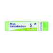 rhus toxicodendron 5ch granuli multidose boiron