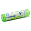 rhus toxicodend*5ch 80gr 4g bo